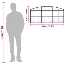 Carica l&#39;immagine nel visualizzatore di Gallery, Specchio da Parete Nero 100x50 cm Arco in Ferro
