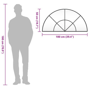 Specchio da Parete Nero 100x50 cm Arco in Ferro